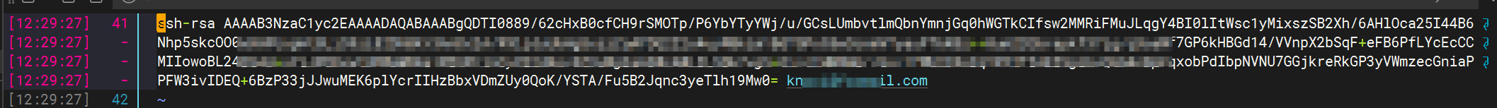 image-20241130123005385